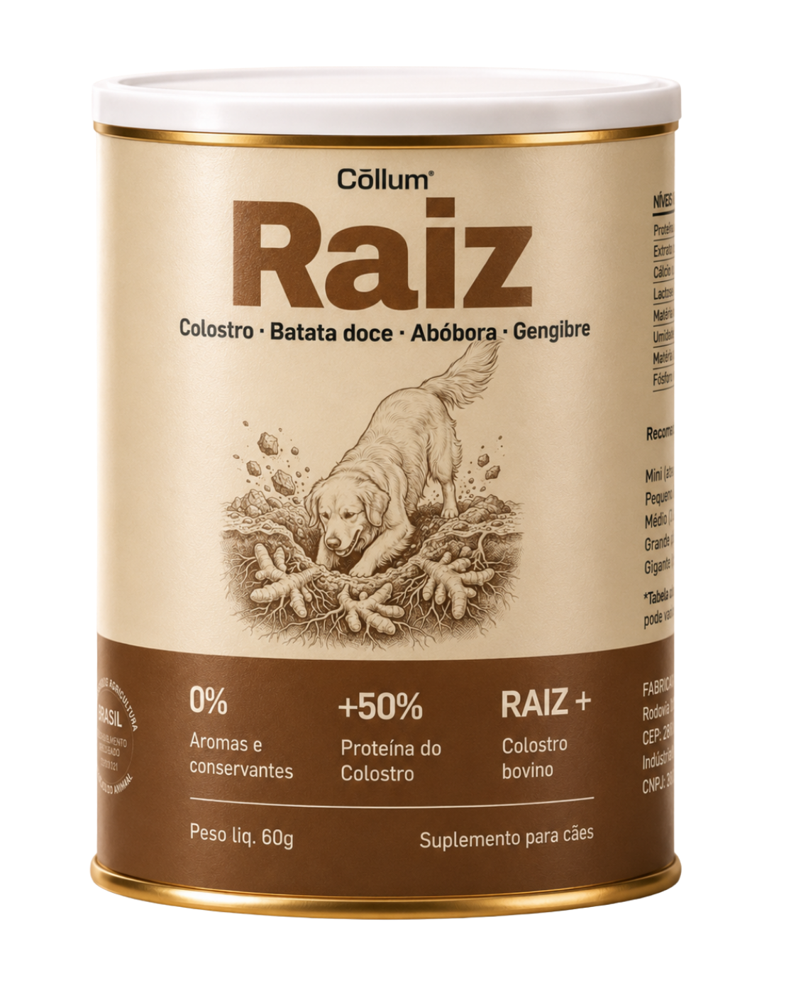 Raiz Lata 60g