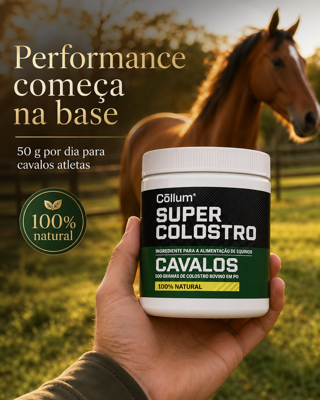 Super Colostro para Cavalos