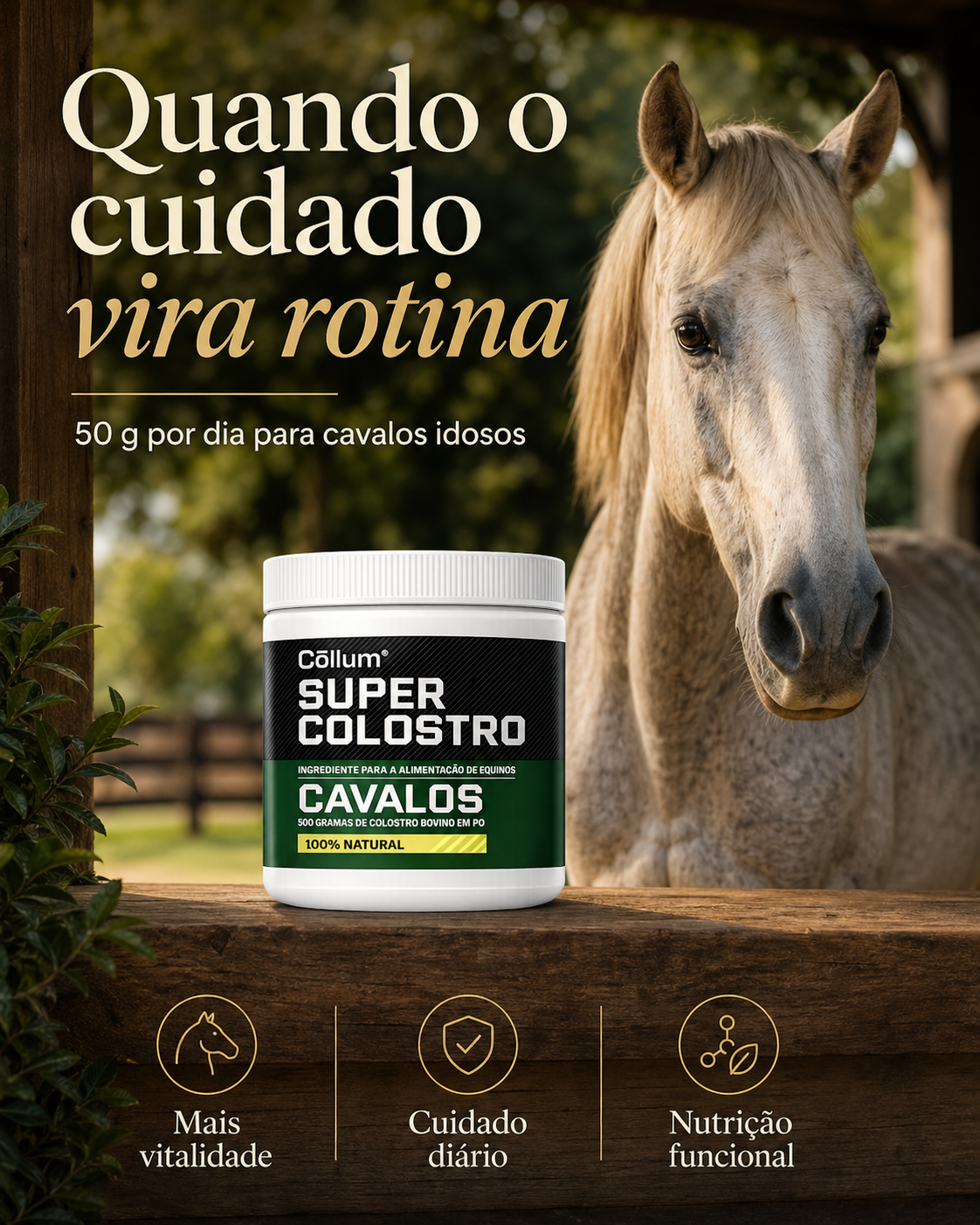 Super Colostro para Cavalos