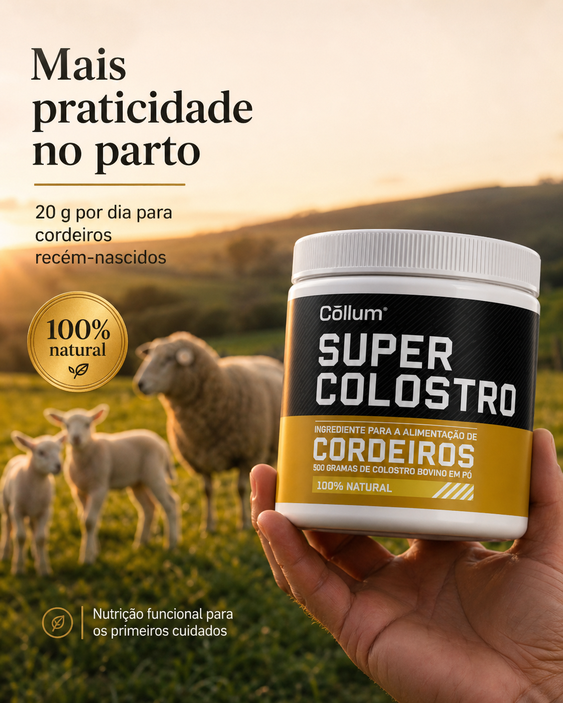 Super Colostro para Ovelhas