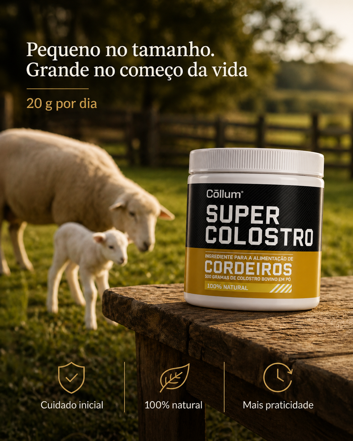 Super Colostro para Ovelhas